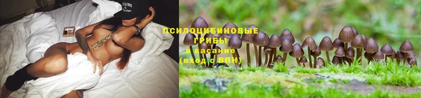 первитин Беслан
