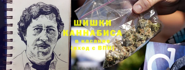 амф Белоозёрский