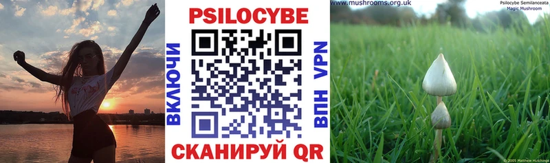 даркнет сайт Видное Псилоцибиновые грибы Psilocybe